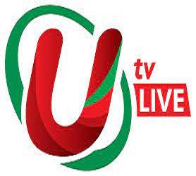 UTV